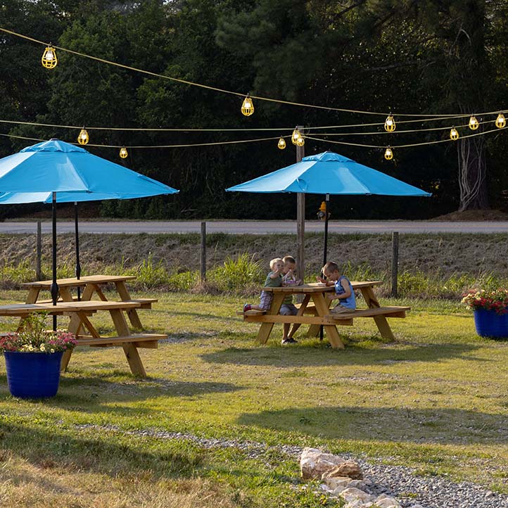 Waves at the Family Farm